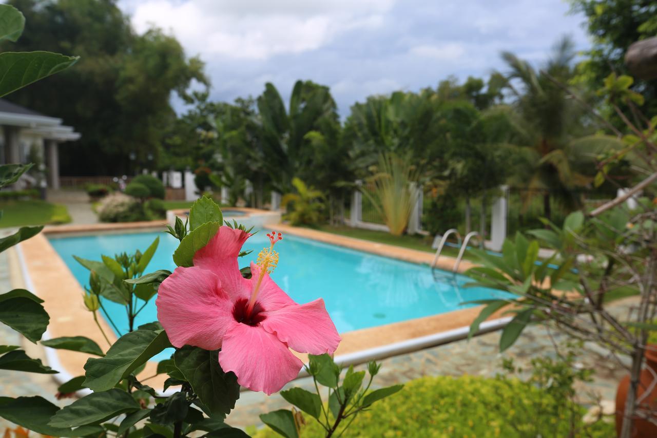 Garden Bungalows Resort Siquijor Eksteriør billede